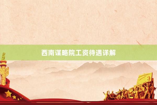 西南谋略院工资待遇详解